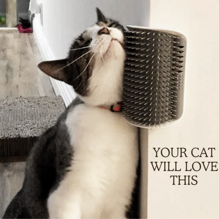 Purrfect Wall-Mounted Cat Scratcher