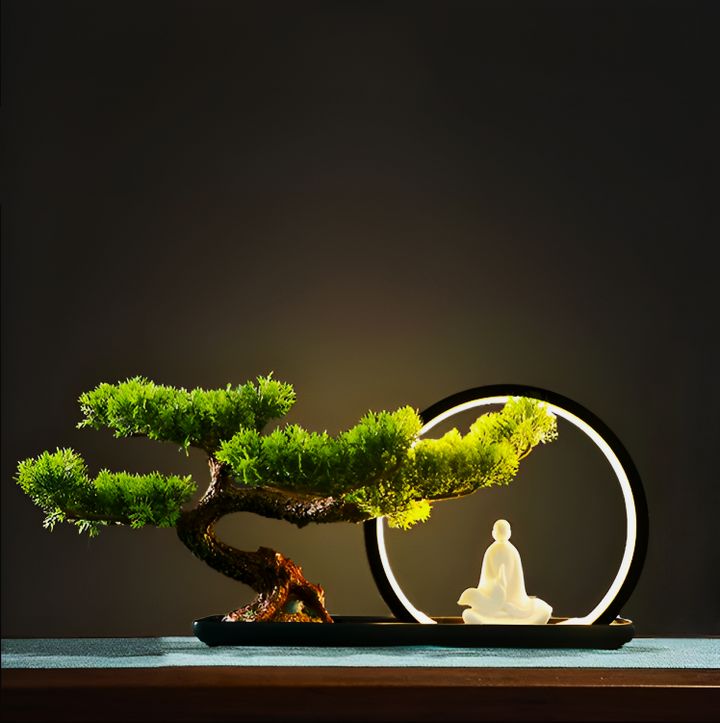 Resting Monk Bonsai Plant